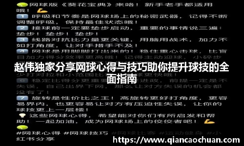 赵伟独家分享网球心得与技巧助你提升球技的全面指南