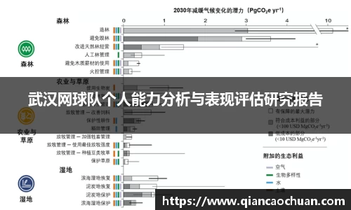 武汉网球队个人能力分析与表现评估研究报告