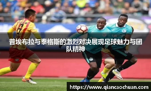 博鱼.体育官网
