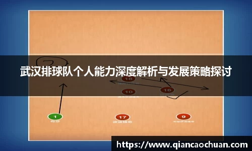 武汉排球队个人能力深度解析与发展策略探讨